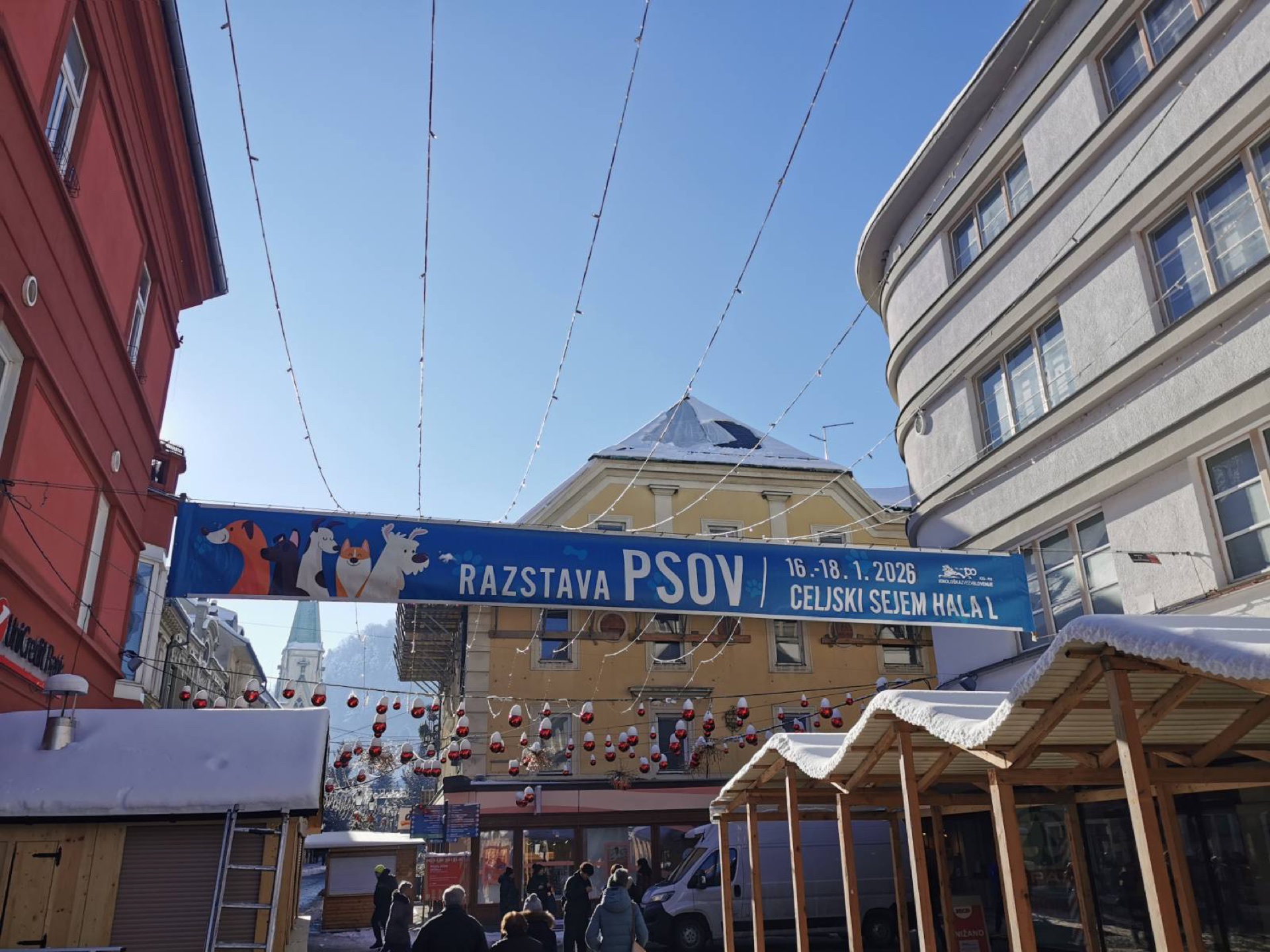 Transparent za razstavo psov na Celjskem sejmu — Reklama Celje