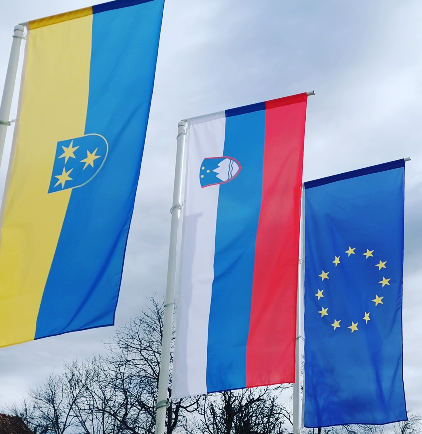 Pokončne zastave Celja, Slovenije in Evropske unije na drogovih — Reklama Celje